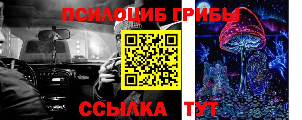 Красногорск  Галлюциногенные грибы прущие грибы  Галлюциногенные грибы ЛСД  Вход с VPN 